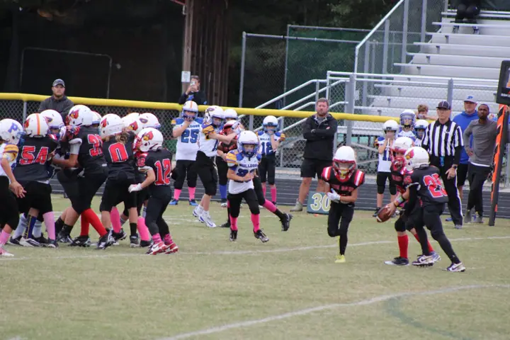 Four Oaks Cardinals game action